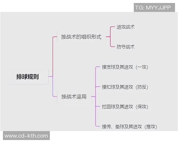 成都排球队中路突破新策略引领战术革新与未来发展探讨